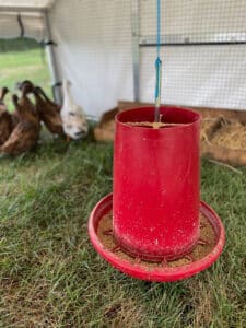 Feeders for mobile duck coop