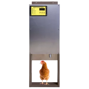 auto chicken doors