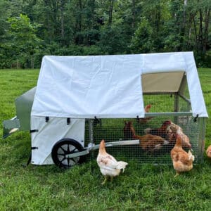 moveable chicken coops pa