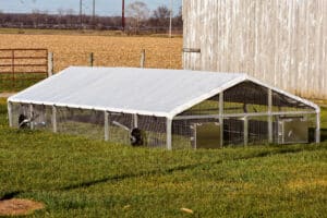 large broiler coop