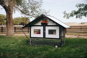 chicken tractor coop for 10 chickens